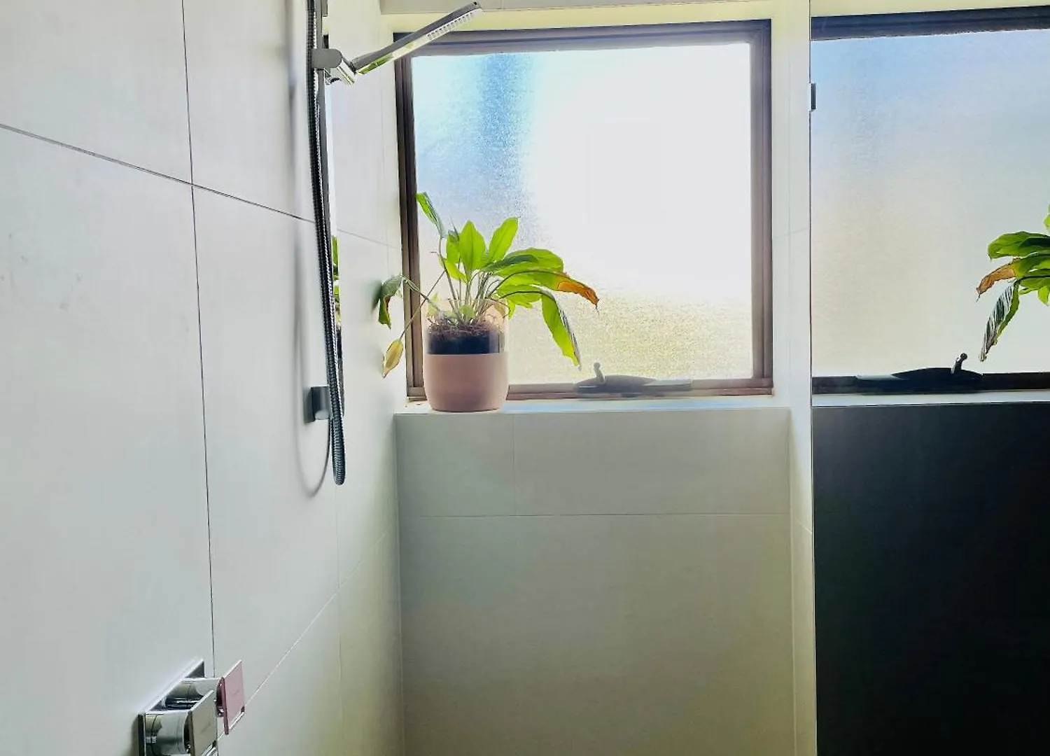 Noosa Shores Apt 29-Noosa Heads-Near Hastings St Apartment